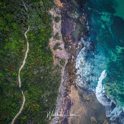 Find your Path - Bilgola